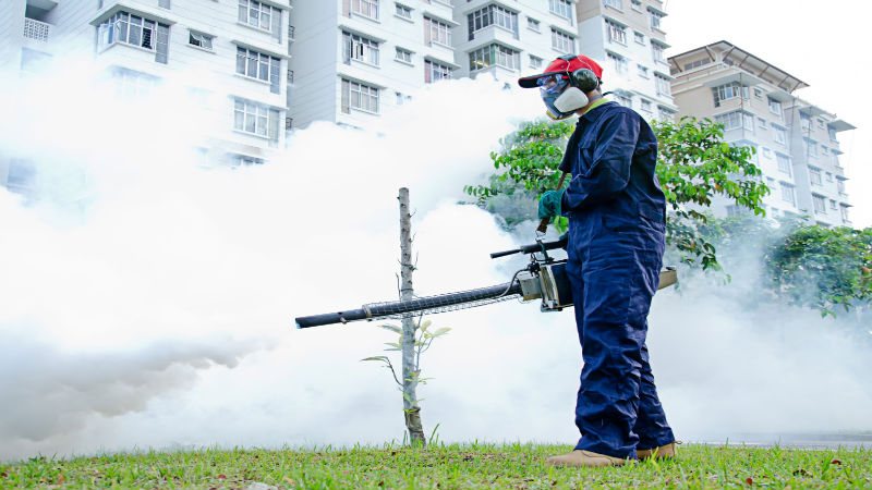 Destroy That Termite Infestation With Professional Fumigation Techniques