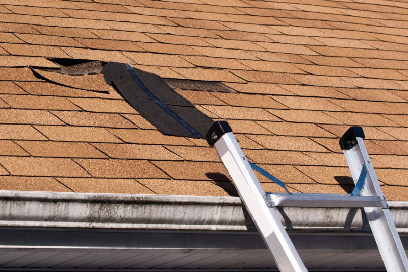 Make Sure You Find the Highest Quality Roofing Repair in Boise, ID for Your Home