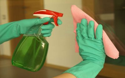 Exploring Expert Home Cleaning in Boise, ID