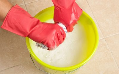 Experience the Difference with Professional House Cleaning Services in Smithtown, NY