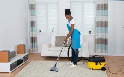 Discover Cleaner, Healthier Living with Professional Carpet Steam Cleaning Near Stoughton, WI